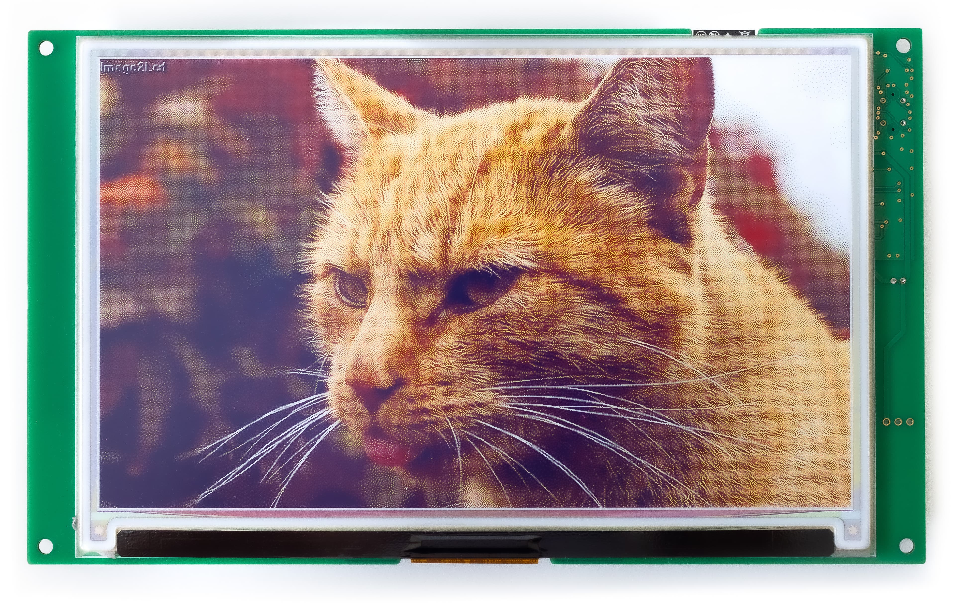 _MG_4462-Bearbeitet-1